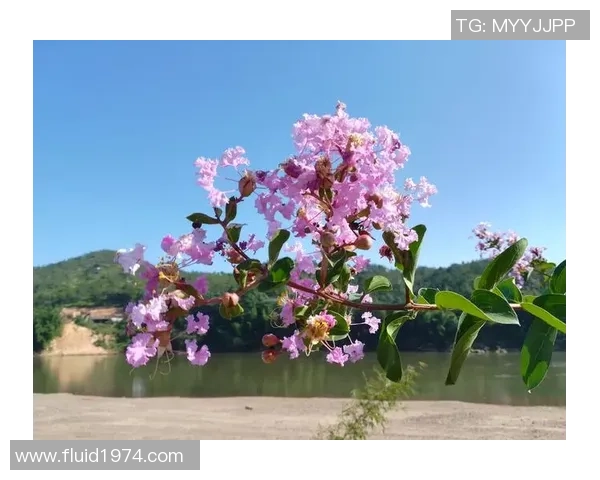 麦肯尼分享独特人生经历鼓励年轻人坚定自信追求梦想