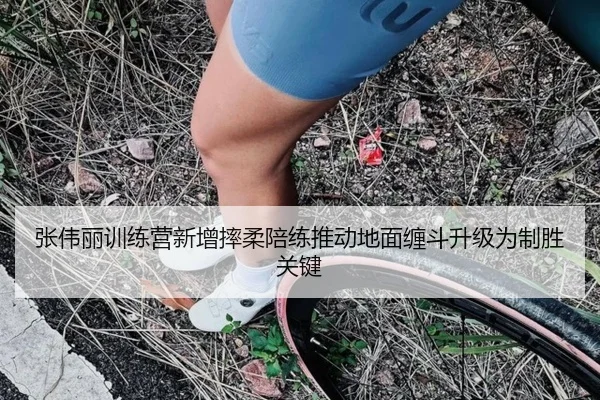 张伟丽训练营新增摔柔陪练推动地面缠斗升级为制胜关键