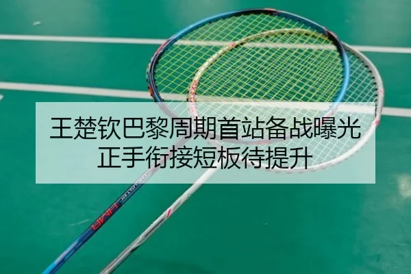 王楚钦巴黎周期首站备战曝光 正手衔接短板待提升