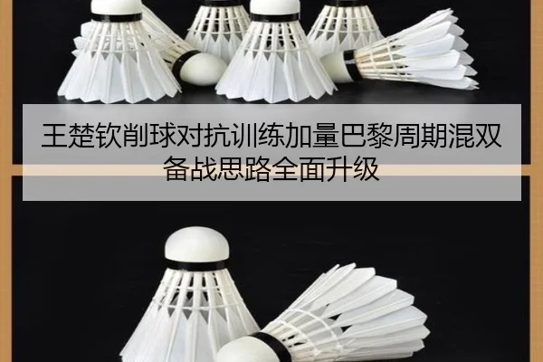 王楚钦削球对抗训练加量巴黎周期混双备战思路全面升级