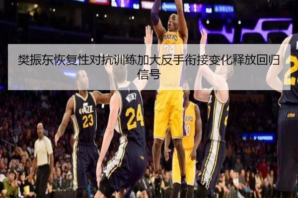 樊振东恢复性对抗训练加大反手衔接变化释放回归信号