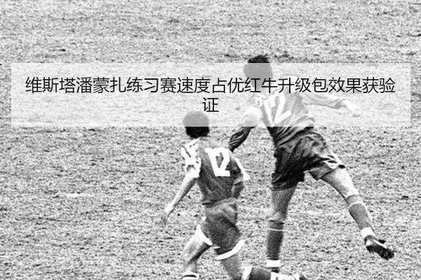 维斯塔潘蒙扎练习赛速度占优红牛升级包效果获验证